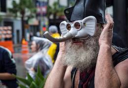 Elephant face protestor