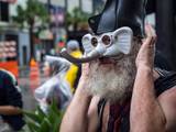 Elephant face protestor