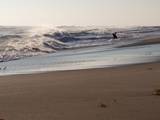 Surf's up thanks to Sandy